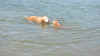 Murphy lyric and hud swim.JPG (3335963 bytes)
