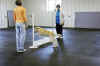 Sammy jump.jpg (390052 bytes)